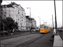 orange on the streets) / ***