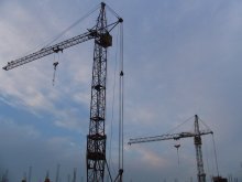 Cranes / ***