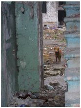 Now I am master here / ***