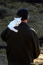 Boss, you have got one! / ***