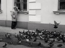 aviary / ***