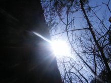 Spring 1 / ...