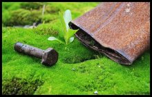 in the world of rusty bolts / ***