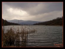 Pond / ***