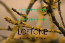 loftone 2 / sound