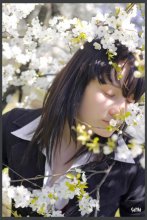 The beauty of the colors / ***