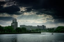 Before the doge / ***