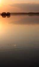 In harmony with nature / ***