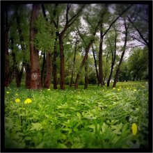 Green-greens of spring! / ***