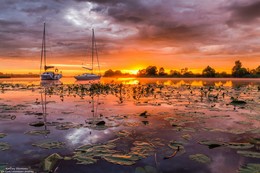 Dawn / ***