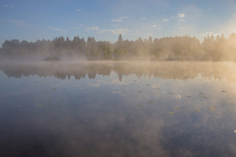 Cold morning / ======