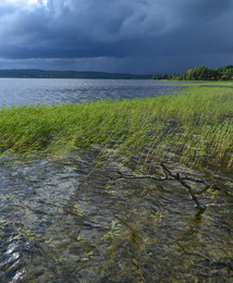 Before the storm / ***