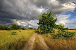 On the way to clouds / .....