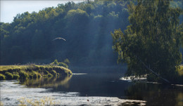 By the river / ***