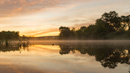 Dawn / ***