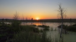 colors of the sunset / ***