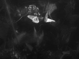 &nbsp; / [img]https://pp.userapi.com/c636125/v636125766/183d3/RZJpImPyB_c.jpg[/img]
