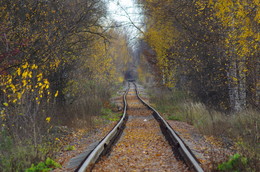 The road to autumn / ***