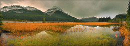 &nbsp; / Icefield Parkway - Alberta - Canada.