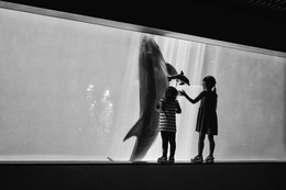 &nbsp; / sony a7 e30macro Kagoshima