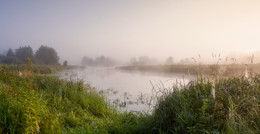 Summer morning / ***