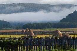 Rural landscape / ***