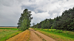 Before the storm / ***