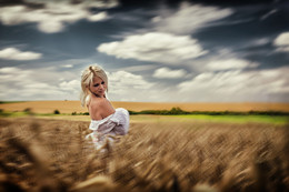 Colors of Summer / ***
