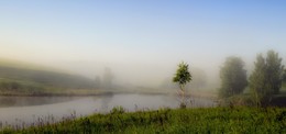 The freshness of the morning / ***