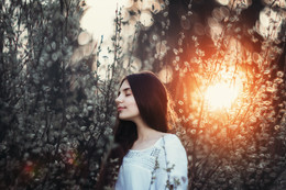 lily / ***