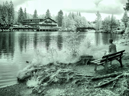 At the lake. / ***