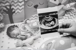 Wonders of Nature / ***