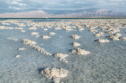 Dead Sea / ***