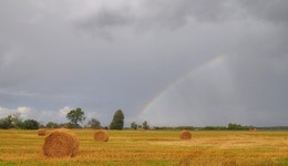 Before the Rain / ***