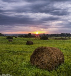 In the field. / ***