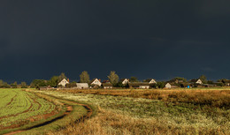 Thunderstorm leaves / ***