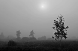 Fog / ***