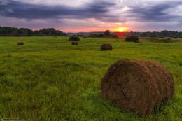 In the field. / ***