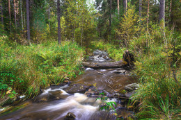 Beginning of autumn / ***