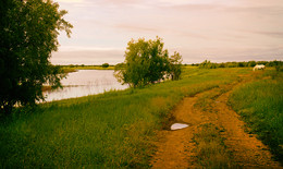 Road / ***