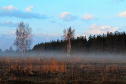 Foggy morning. / ***