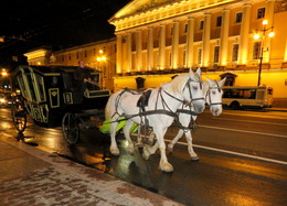 the city does not sleep / ***