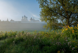 Foggy morning. / ***