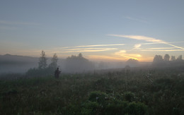 Through the tall grass / ***