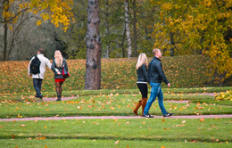 Male and female / ***