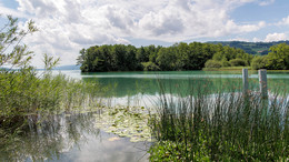 Hallwilersee / ---