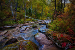 Autumn creek / ----
