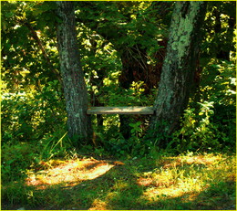Remembering summer / ***