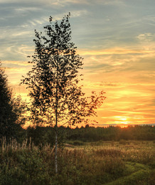 Remembering summer / ***