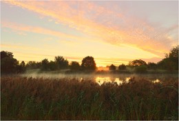 autumn morning / ***